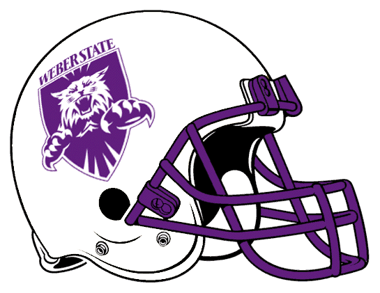 Weber State Wildcats 2001-2005 Helmet Logo diy fabric transfer